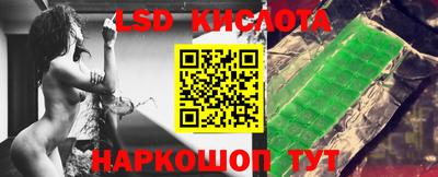кокс Гатчина