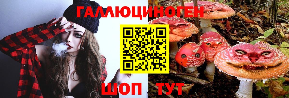Жуковский  Галлюциногенные грибы мицелий  Псилоцибиновые грибы Cubensis  Вход с VPN 